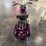 #158-•-1960-cushman-eagle-motor-scooter-image-6