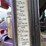 2006-kenworth-t800-image-35