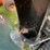 #1670-•-craftsman-snow-blower-image-5