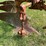 #1639-•-allis-chalmers-moldboard-plow-image-12