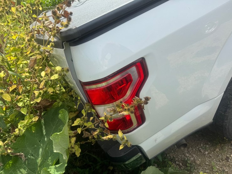 2019-ford-f150-xlt-image-5