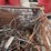 #10629-•-metal-bin-with-scrap-metal-pieces-image-10