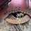 tigercat-ls855c-image-6