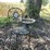 #6243-•-lawn-decorations-image-6