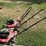 #6263-•-(2)-push-mowers-image-3