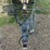 ranger-320v-bass-boat-w/2012-evinrude-250hp-&-trailer-image-45