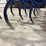 international-11-image-24