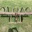 #1631-•-vintage-spring-tooth-cultivator-image-1