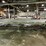 #177-•-dustek-/-wen-dual-belt-conveyor-system-image-3
