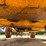 2005-jcb-506c-image-22