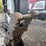 2020-bobcat-e42-image-9