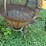 #6280-•-antique-fire-pit-image-7