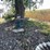#6243-•-lawn-decorations-image-10