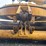 caterpillar-160m-awd-image-36