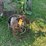 #6281-•-rope-and-cable-image-1