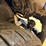2017-bmw-328i-(147,271-miles)-image-21
