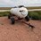 anhydrous-tank-image-1