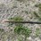 #6220-•-skid-loader-bale-spear-image-6