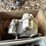 #1639-•-mechanical-and-small-engine-parts-image-5
