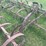 #1632-•-spring-tooth-harrow-image-8