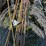 #6284-•-fencing-supplies-image-12