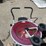 #10549-•-pallet-of-misc.-sporting-goods-image-15