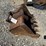 26”-excavator-bucket-image-4