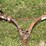 #5702-•-car-tow-image-1