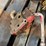 international-harvester-hydraulic-cylinders-and-parts-image-7