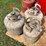 #1663-•-(3)-propane-tanks-image-1