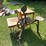 #1648-•-treadle-scroll-saw-image-1
