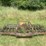 #1640-•-rotary-hoe-image-4