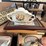 #6248-•-household-decorations-image-19