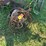 #6281-•-rope-and-cable-image-2