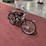 #161-•-1949-whizzer-schwinn-motorized-bicycle-image-5