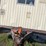 #10527-•-jobsite-trailer-image-25