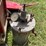 #1664-•-wagon-and-contents-image-5