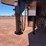 2017-bison-living-quarters-trailer-image-9