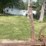 #1621-•-antique-sickle-bar-image-10