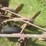 #1638-•-3-bottom-moldboard-plow-image-9