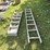 #1653-•-(2)-ladders-image-6