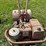 #6264-•-rototiller-image-10