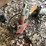 #1634-•-western-and-meyers-plow-pumps-with-control-image-1