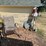 #6240-•-lawn-items-image-3