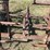 #6223-•-(4)-section-drag-image-7