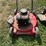 #6263-•-(2)-push-mowers-image-8