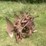 #1638-•-3-bottom-moldboard-plow-image-2