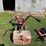 #6264-•-rototiller-image-4