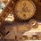 2014-caterpillar-d6n-image-18