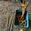 #6274-•-croquet-game-and-horseshoes-image-1